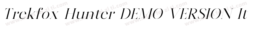 Trekfox Hunter DEMO VERSION Italic字体转换